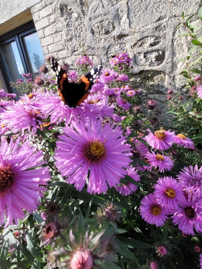 Studio Bienvenue Du Cote De Chez Nous Avec Jardin Privatif Wignehies Kültér fotó