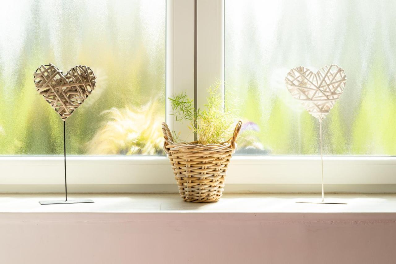 Studio Bienvenue Du Cote De Chez Nous Avec Jardin Privatif Wignehies Kültér fotó
